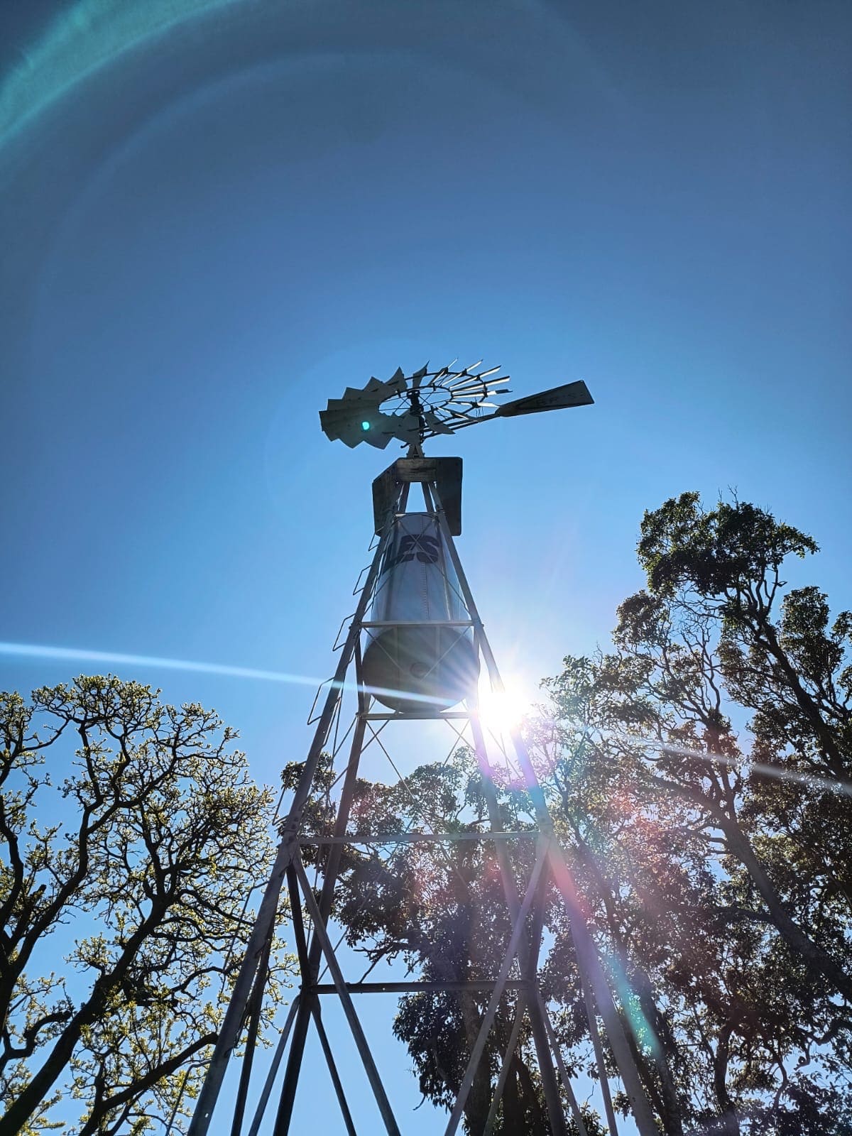 Proyecto de construcción 14 por Maestro Mayor de Obras en Balcarce LOZA Estudio Técnico
