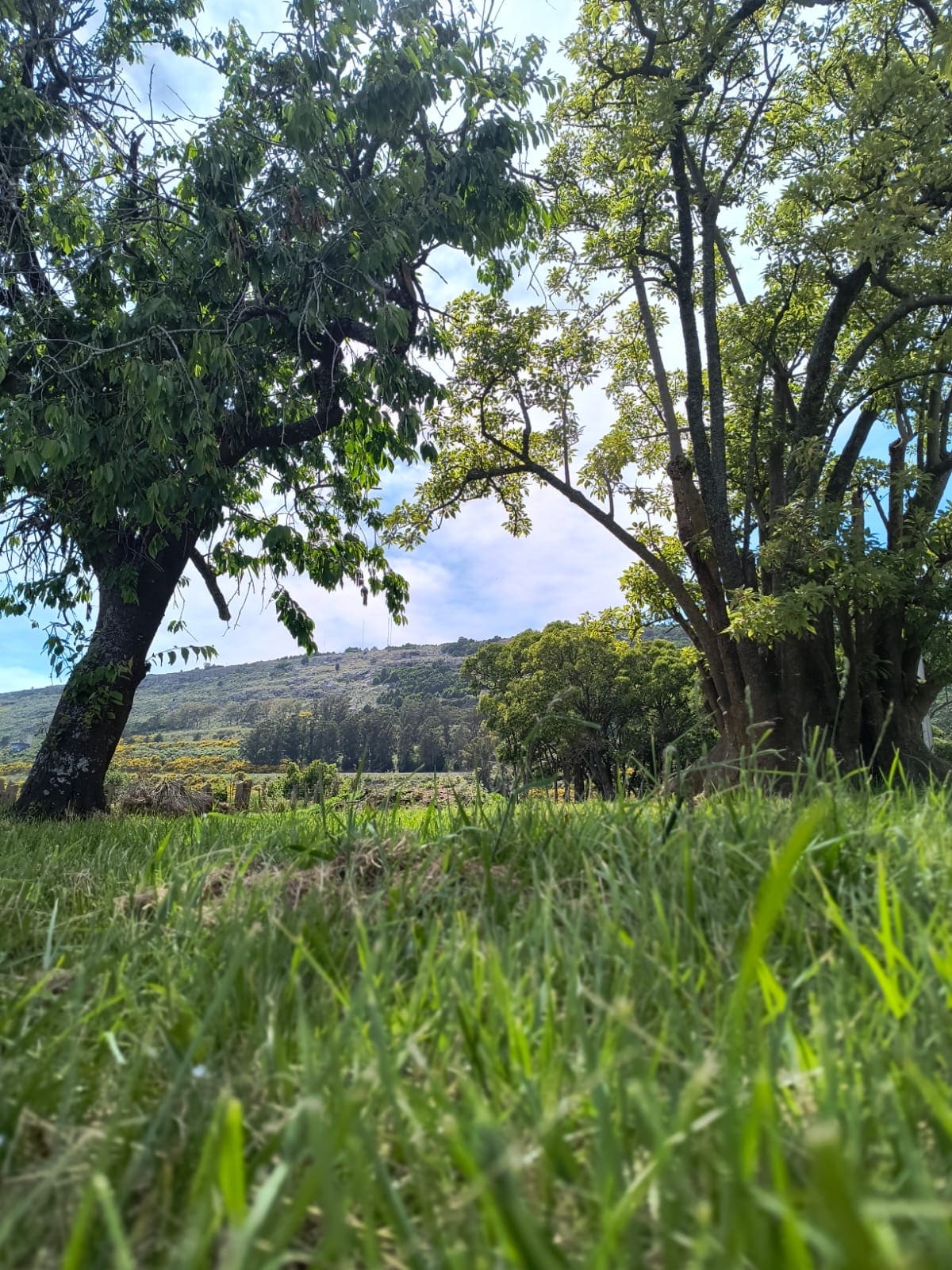 Proyecto de construcción 21 por Maestro Mayor de Obras en Balcarce LOZA Estudio Técnico